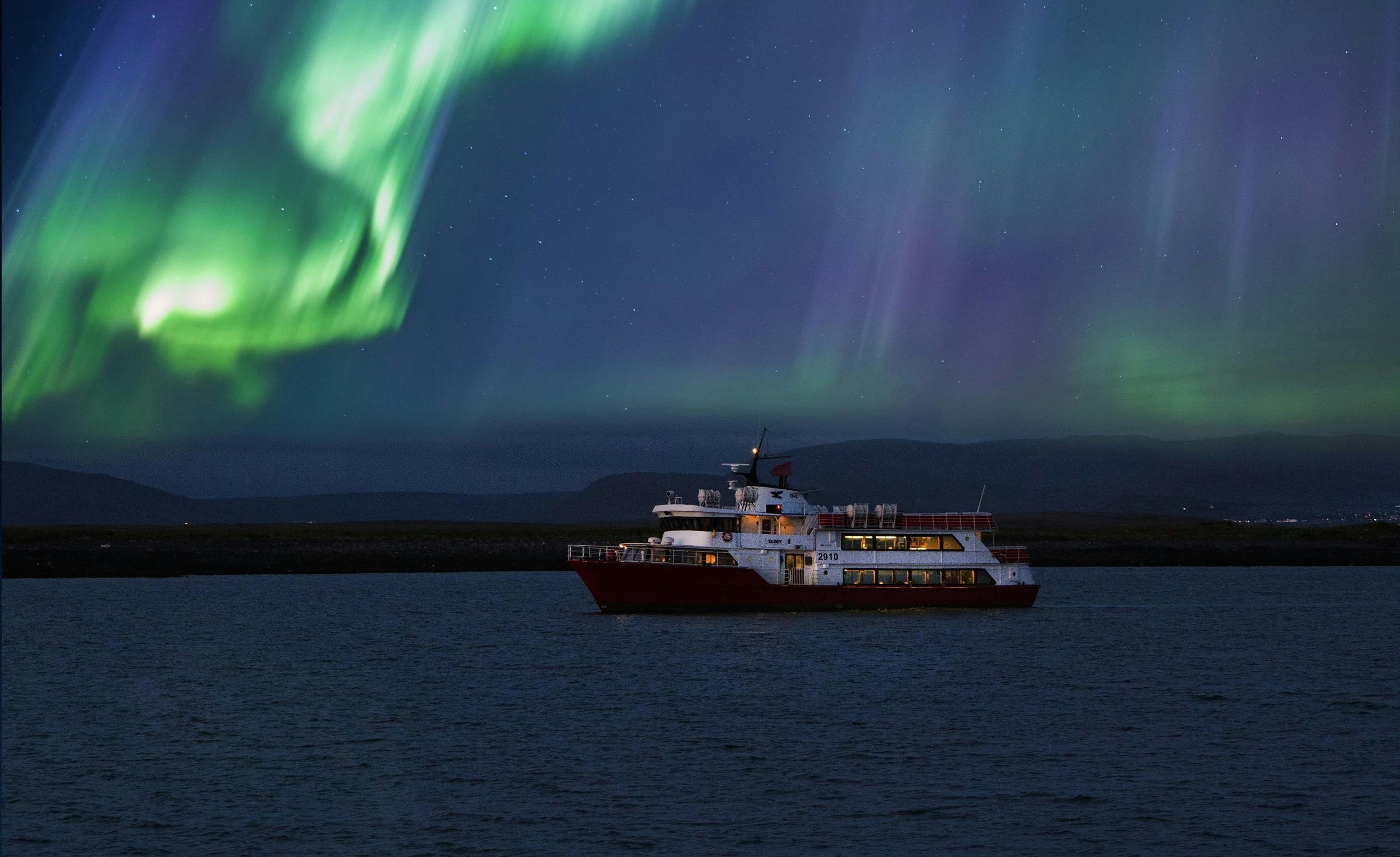Product image for Reykjavík Northern Lights Cruise